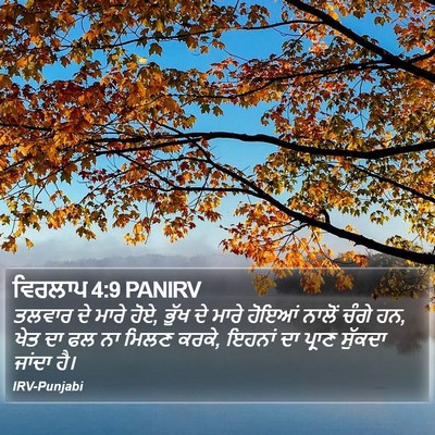 ਵਿਰਲਾਪ 4:9 PANIRV Bible Verse Image