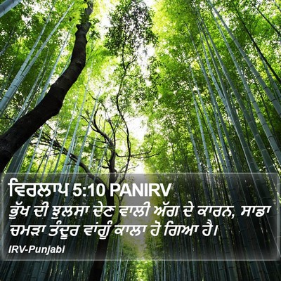 ਵਿਰਲਾਪ 5:10 PANIRV Bible Verse Image
