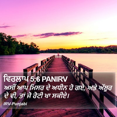 ਵਿਰਲਾਪ 5:6 PANIRV Bible Verse Image