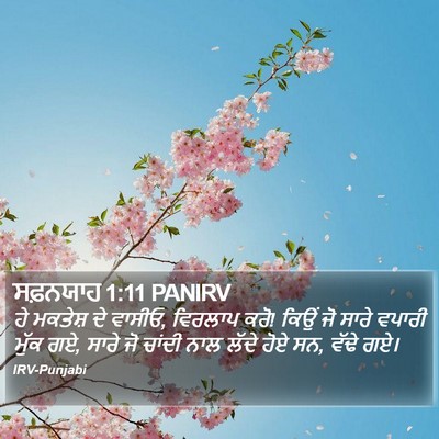 ਸਫ਼ਨਯਾਹ 1:11 PANIRV Bible Verse Image