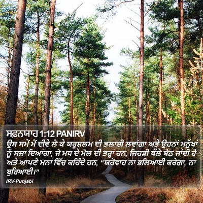 ਸਫ਼ਨਯਾਹ 1:12 PANIRV Bible Verse Image