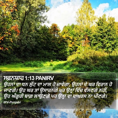 ਸਫ਼ਨਯਾਹ 1:13 PANIRV Bible Verse Image