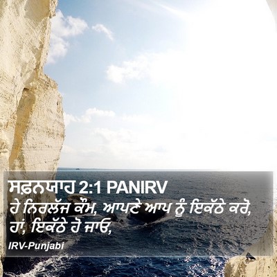 ਸਫ਼ਨਯਾਹ 2:1 PANIRV Bible Verse Image