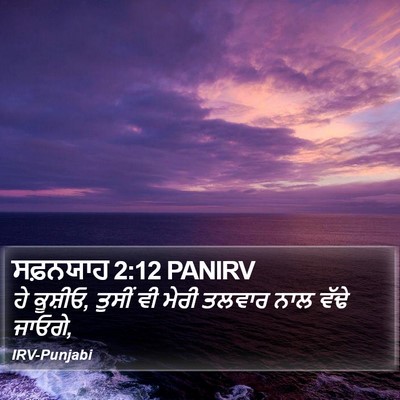ਸਫ਼ਨਯਾਹ 2:12 PANIRV Bible Verse Image