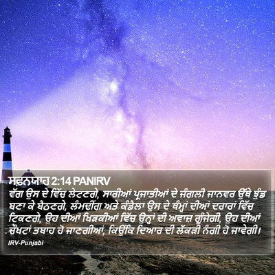 ਸਫ਼ਨਯਾਹ 2:14 PANIRV Bible Verse Image