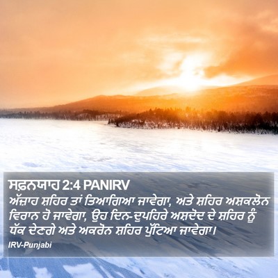 ਸਫ਼ਨਯਾਹ 2:4 PANIRV Bible Verse Image