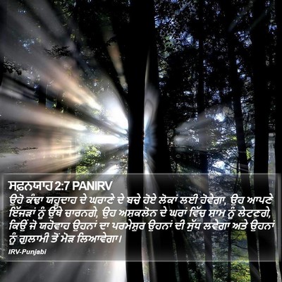ਸਫ਼ਨਯਾਹ 2:7 PANIRV Bible Verse Image