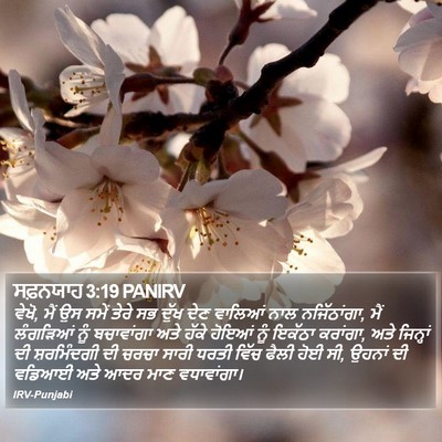 ਸਫ਼ਨਯਾਹ 3:19 PANIRV Bible Verse Image