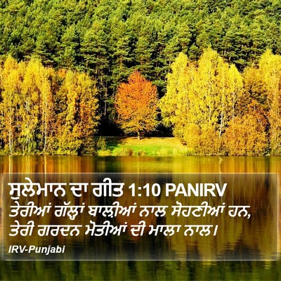 ਸੁਲੇਮਾਨ ਦਾ ਗੀਤ 1:10 PANIRV Bible Verse Image