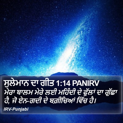 ਸੁਲੇਮਾਨ ਦਾ ਗੀਤ 1:14 PANIRV Bible Verse Image