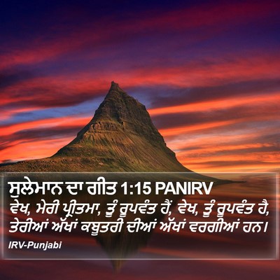 ਸੁਲੇਮਾਨ ਦਾ ਗੀਤ 1:15 PANIRV Bible Verse Image
