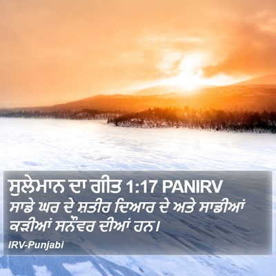 ਸੁਲੇਮਾਨ ਦਾ ਗੀਤ 1:17 PANIRV Bible Verse Image
