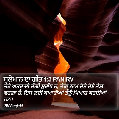 ਸੁਲੇਮਾਨ ਦਾ ਗੀਤ 1:3 PANIRV Bible Verse Image