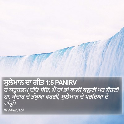 ਸੁਲੇਮਾਨ ਦਾ ਗੀਤ 1:5 PANIRV Bible Verse Image