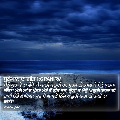 ਸੁਲੇਮਾਨ ਦਾ ਗੀਤ 1:6 PANIRV Bible Verse Image