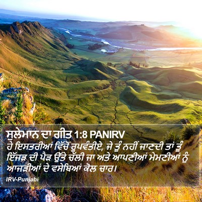 ਸੁਲੇਮਾਨ ਦਾ ਗੀਤ 1:8 PANIRV Bible Verse Image