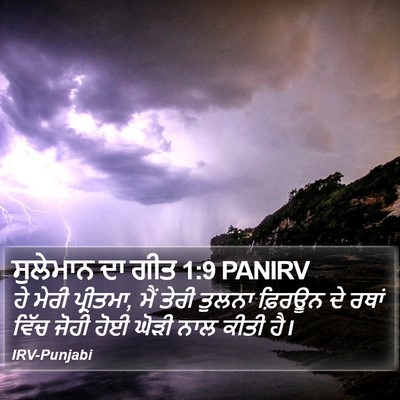ਸੁਲੇਮਾਨ ਦਾ ਗੀਤ 1:9 PANIRV Bible Verse Image