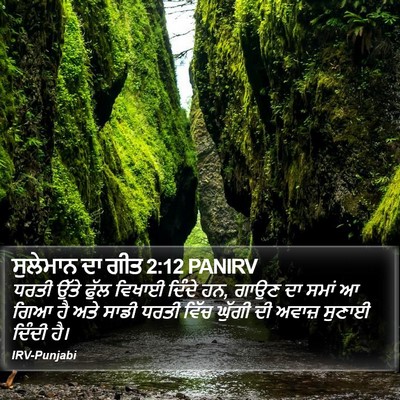 ਸੁਲੇਮਾਨ ਦਾ ਗੀਤ 2:12 PANIRV Bible Verse Image