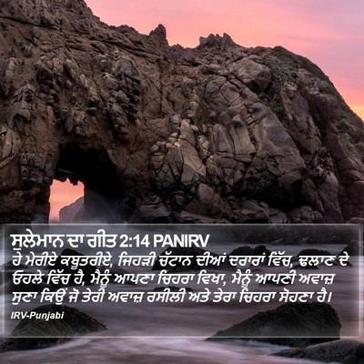 ਸੁਲੇਮਾਨ ਦਾ ਗੀਤ 2:14 PANIRV Bible Verse Image