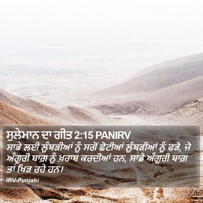 ਸੁਲੇਮਾਨ ਦਾ ਗੀਤ 2:15 PANIRV Bible Verse Image