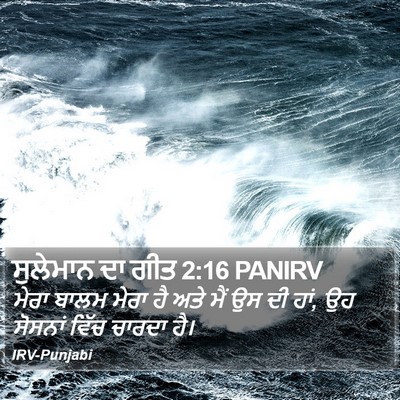 ਸੁਲੇਮਾਨ ਦਾ ਗੀਤ 2:16 PANIRV Bible Verse Image