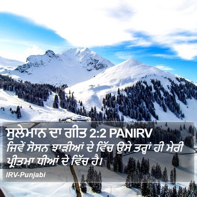 ਸੁਲੇਮਾਨ ਦਾ ਗੀਤ 2:2 PANIRV Bible Verse Image