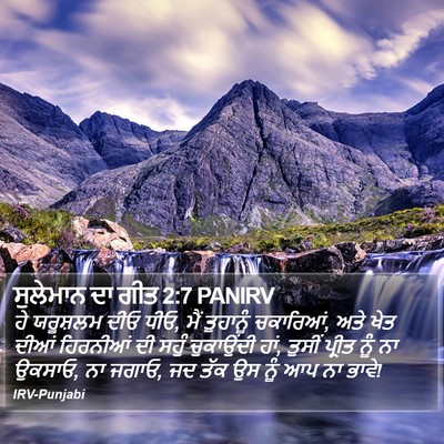 ਸੁਲੇਮਾਨ ਦਾ ਗੀਤ 2:7 PANIRV Bible Verse Image