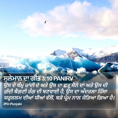 ਸੁਲੇਮਾਨ ਦਾ ਗੀਤ 3:10 PANIRV Bible Verse Image