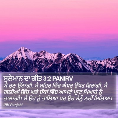 ਸੁਲੇਮਾਨ ਦਾ ਗੀਤ 3:2 PANIRV Bible Verse Image
