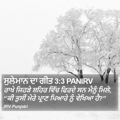 ਸੁਲੇਮਾਨ ਦਾ ਗੀਤ 3:3 PANIRV Bible Verse Image