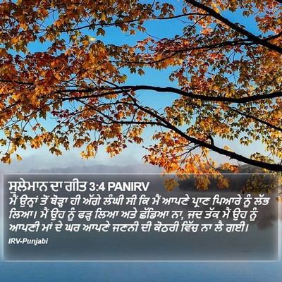 ਸੁਲੇਮਾਨ ਦਾ ਗੀਤ 3:4 PANIRV Bible Verse Image