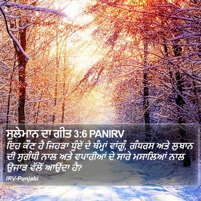 ਸੁਲੇਮਾਨ ਦਾ ਗੀਤ 3:6 PANIRV Bible Verse Image