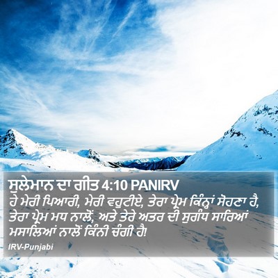 ਸੁਲੇਮਾਨ ਦਾ ਗੀਤ 4:10 PANIRV Bible Verse Image