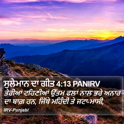 ਸੁਲੇਮਾਨ ਦਾ ਗੀਤ 4:13 PANIRV Bible Verse Image