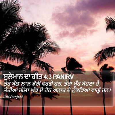 ਸੁਲੇਮਾਨ ਦਾ ਗੀਤ 4:3 PANIRV Bible Verse Image