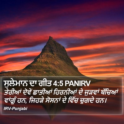 ਸੁਲੇਮਾਨ ਦਾ ਗੀਤ 4:5 PANIRV Bible Verse Image