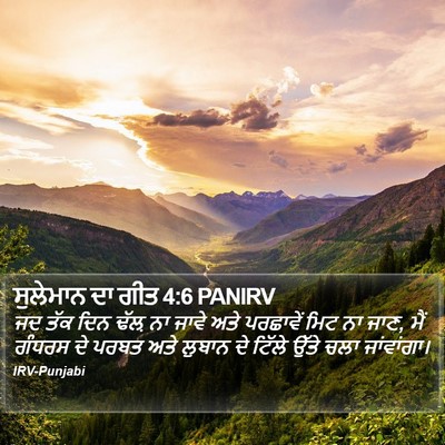ਸੁਲੇਮਾਨ ਦਾ ਗੀਤ 4:6 PANIRV Bible Verse Image