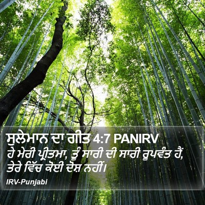 ਸੁਲੇਮਾਨ ਦਾ ਗੀਤ 4:7 PANIRV Bible Verse Image