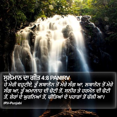 ਸੁਲੇਮਾਨ ਦਾ ਗੀਤ 4:8 PANIRV Bible Verse Image