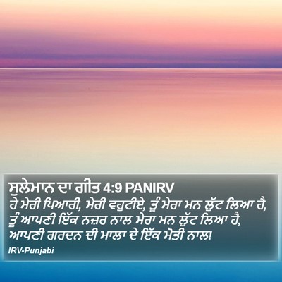 ਸੁਲੇਮਾਨ ਦਾ ਗੀਤ 4:9 PANIRV Bible Verse Image