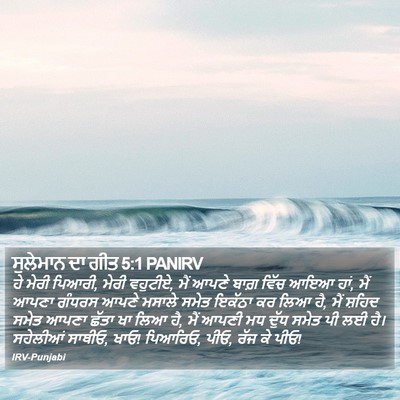 ਸੁਲੇਮਾਨ ਦਾ ਗੀਤ 5:1 PANIRV Bible Verse Image