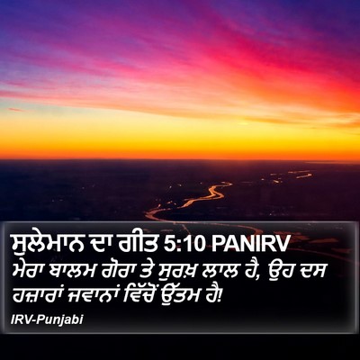 ਸੁਲੇਮਾਨ ਦਾ ਗੀਤ 5:10 PANIRV Bible Verse Image