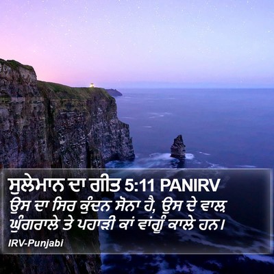 ਸੁਲੇਮਾਨ ਦਾ ਗੀਤ 5:11 PANIRV Bible Verse Image