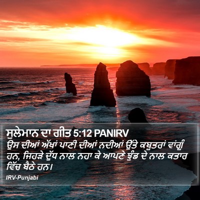 ਸੁਲੇਮਾਨ ਦਾ ਗੀਤ 5:12 PANIRV Bible Verse Image