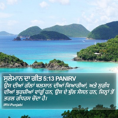 ਸੁਲੇਮਾਨ ਦਾ ਗੀਤ 5:13 PANIRV Bible Verse Image