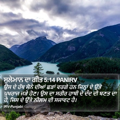 ਸੁਲੇਮਾਨ ਦਾ ਗੀਤ 5:14 PANIRV Bible Verse Image