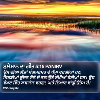 ਸੁਲੇਮਾਨ ਦਾ ਗੀਤ 5:15 PANIRV Bible Verse Image