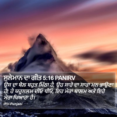 ਸੁਲੇਮਾਨ ਦਾ ਗੀਤ 5:16 PANIRV Bible Verse Image