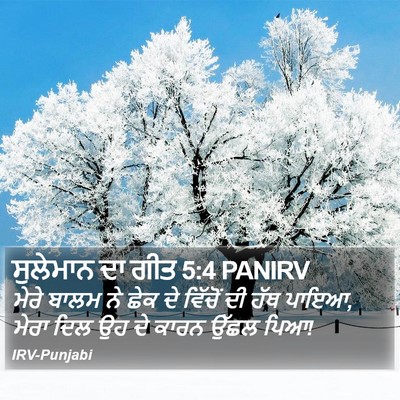 ਸੁਲੇਮਾਨ ਦਾ ਗੀਤ 5:4 PANIRV Bible Verse Image