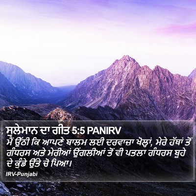 ਸੁਲੇਮਾਨ ਦਾ ਗੀਤ 5:5 PANIRV Bible Verse Image
